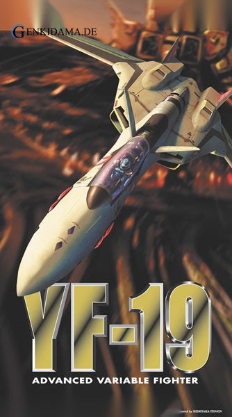Macross Plus 1/72 YF-19 Plastic Model