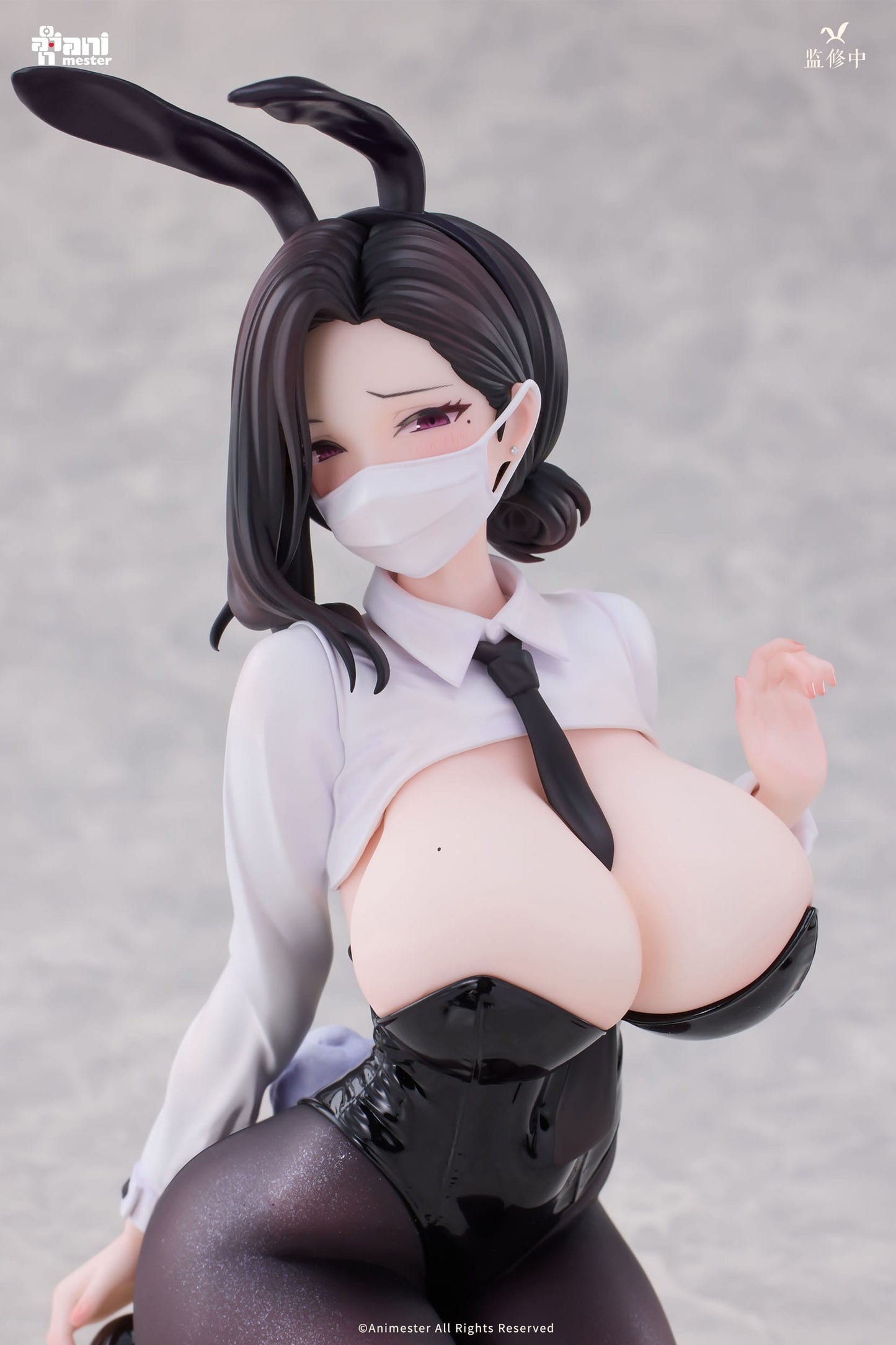 Dongtan Bunny Girl Original Character AnimMeser