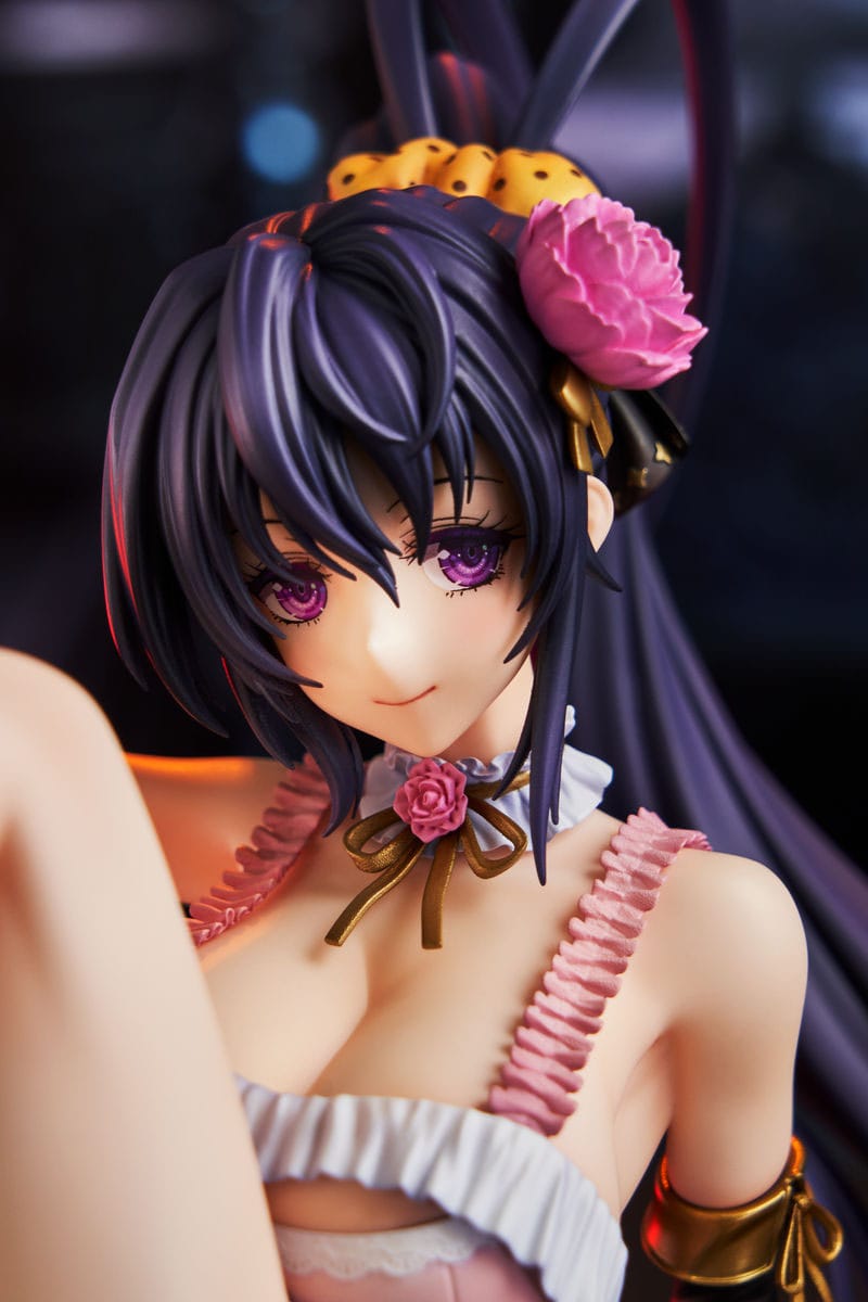 Akeno Himejima: Light Novel 15th Anniversary ver. Kadokawa