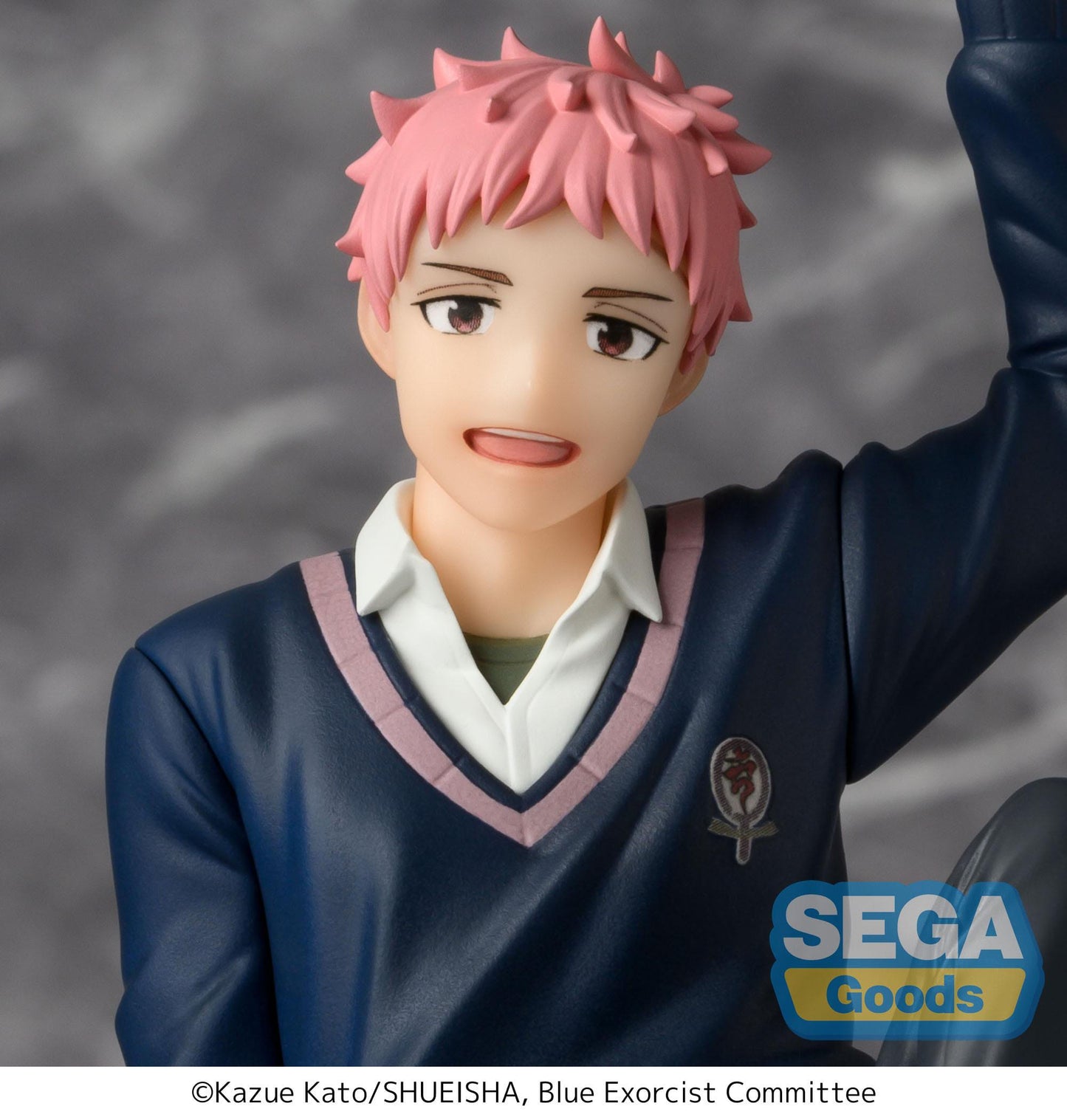 Renzo Shima PM Perching Sega