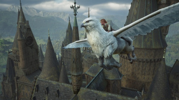 Hogwarts Legacy (Switch 2) - Anime Figuren günstig kaufen