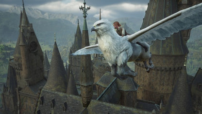 Hogwarts Legacy (Switch 2) - Anime Figuren günstig kaufen