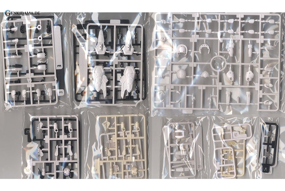 RAcaseal Whitill Ver.APSY (Plastic model)