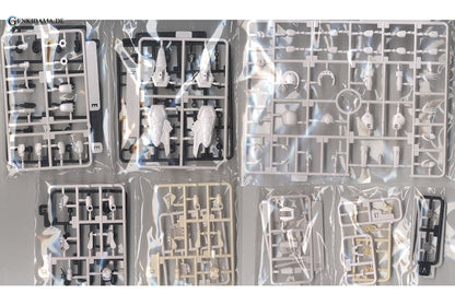 RAcaseal Whitill Ver.APSY (Plastic model)