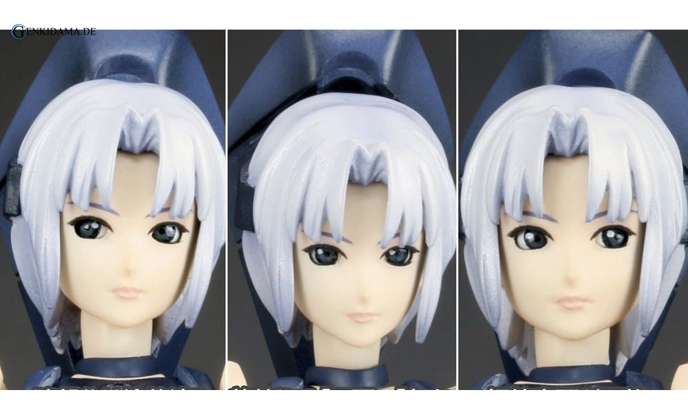 RAcaseal Shino Ver.APSY (Plastic model)