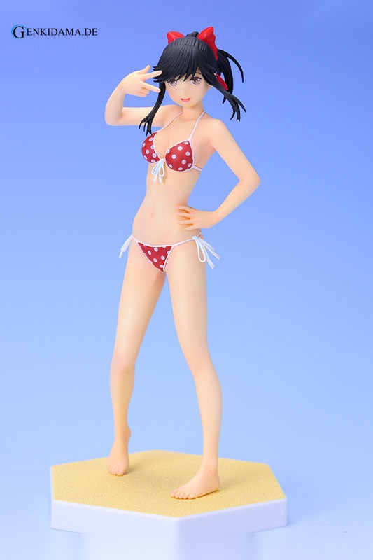BEACH QUEENS - Loveplus: Manaka Takane