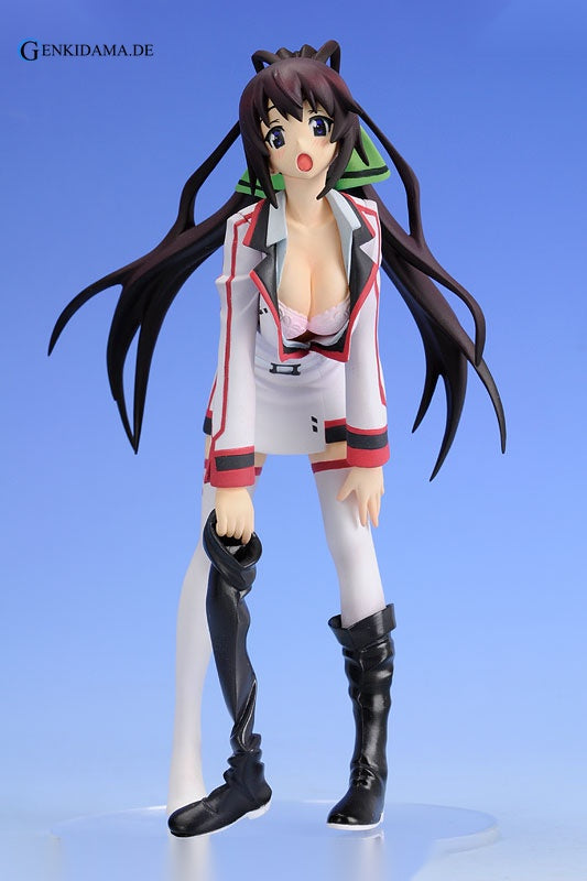 Staind Series #2 Infinite Stratos Houki Shinonono