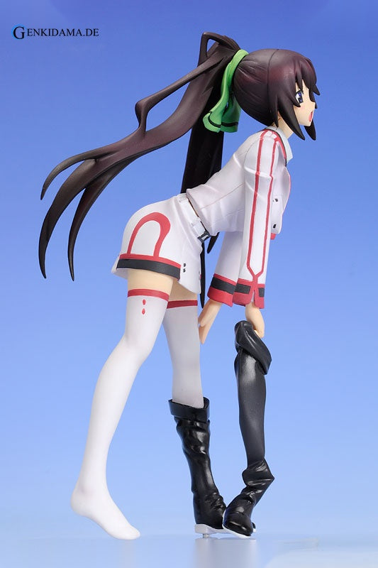 Staind Series #2 Infinite Stratos Houki Shinonono
