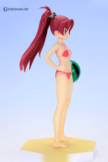 BEACH QUEENS - Puella Magi Madoka Magica: Kyoko Sakura