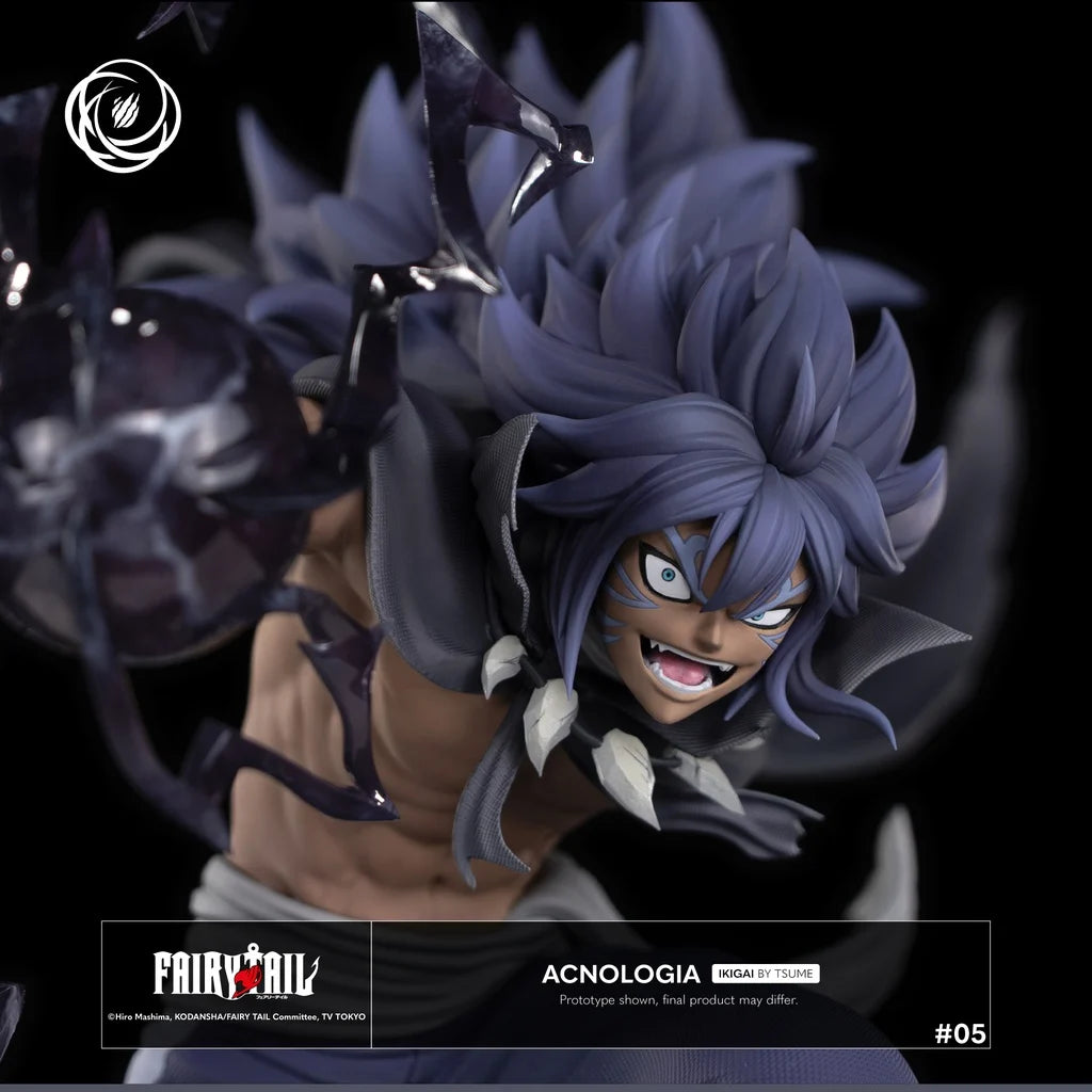 Acnologia Ikigai Fairy Tail Tsume