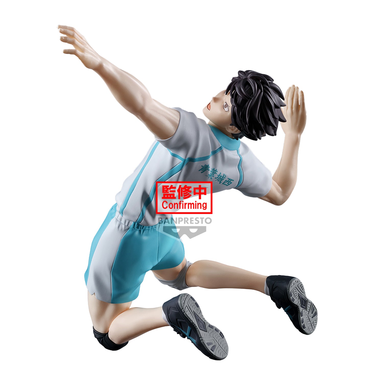 Toru Oikawa Posing  Banpresto