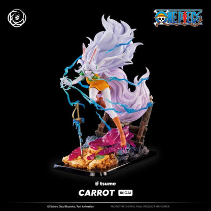 Carrot Ikigai One Piece