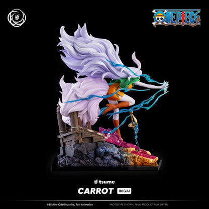 Carrot Ikigai One Piece