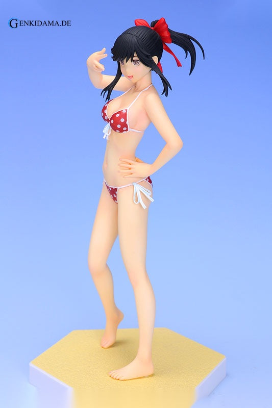 BEACH QUEENS - Loveplus: Manaka Takane