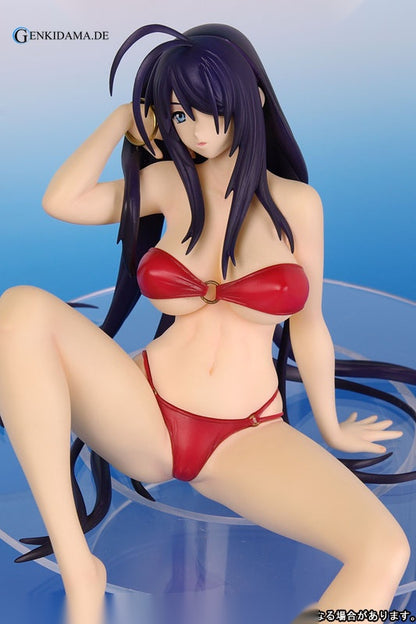 Ikkitousen DD - Unchou Kan-u -Summer Vacation