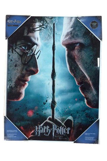 Harry Potter Glasposter Harry & Voldemort 30 x - Anime Figuren günstig kaufen