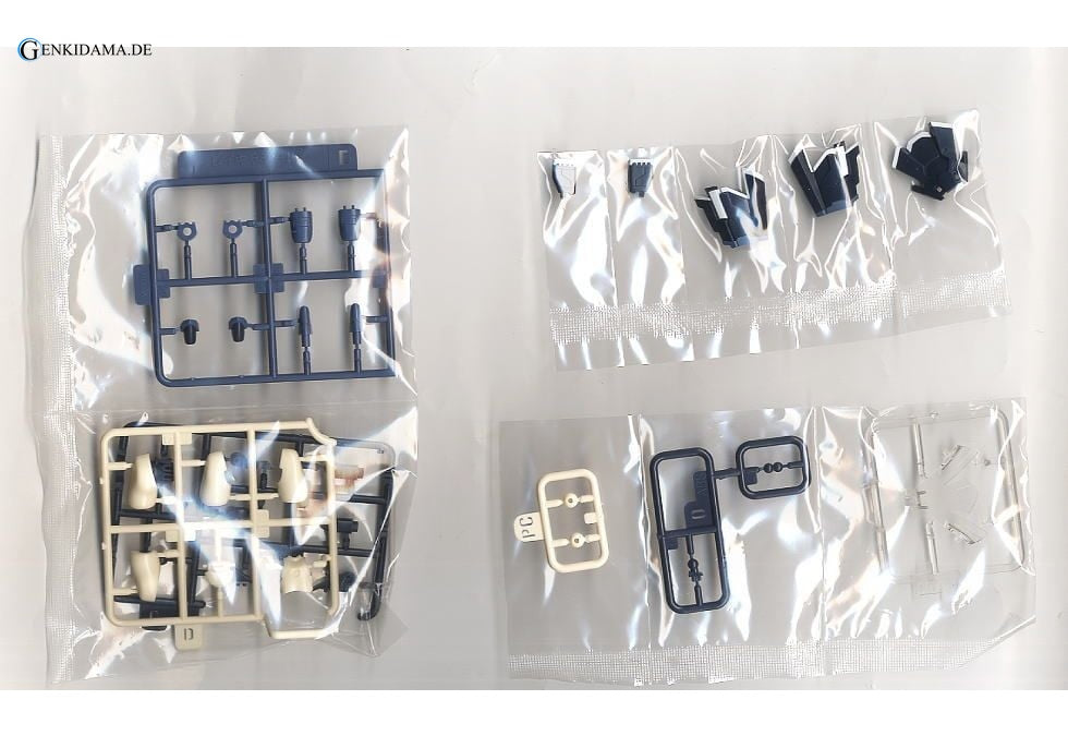 RAcaseal Shino Ver.APSY (Plastic model)