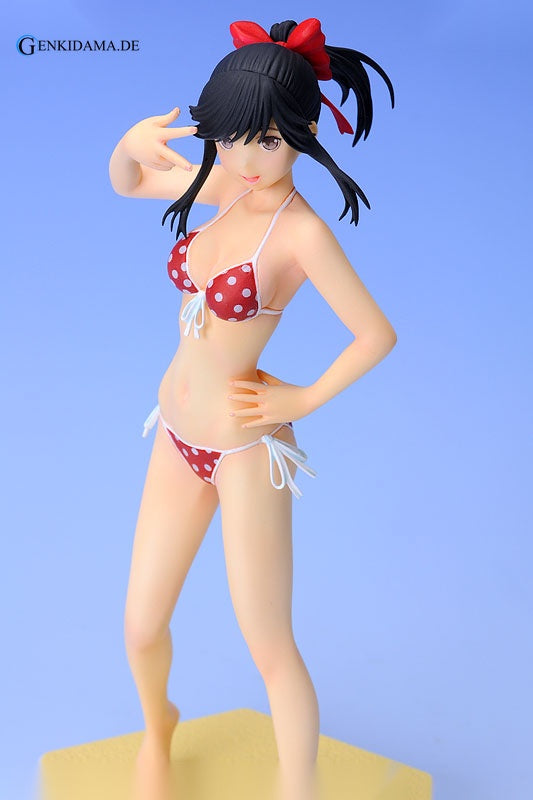 BEACH QUEENS - Loveplus: Manaka Takane