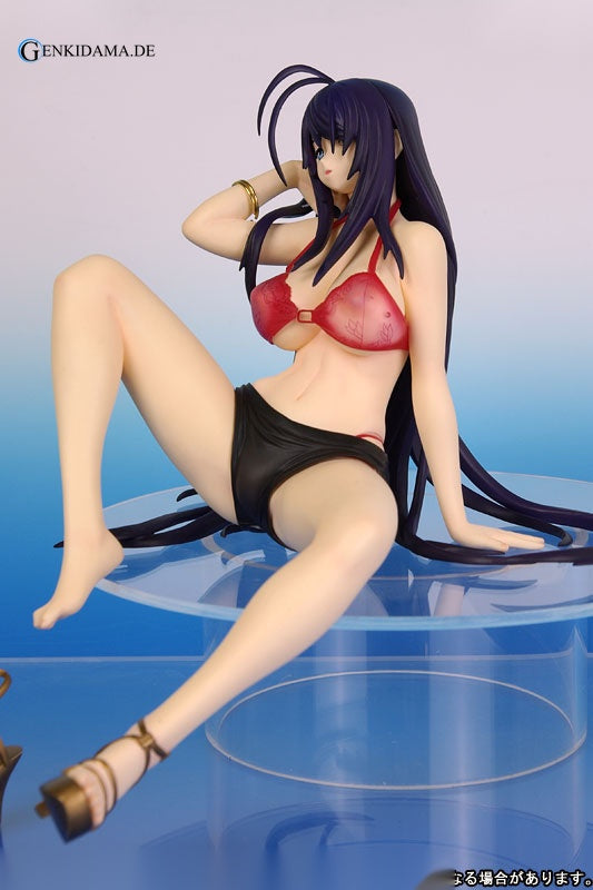 Ikkitousen DD - Unchou Kan-u -Summer Vacation
