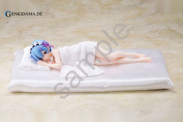 Re:ZERO -Starting Life in Another World- Rem Sleep Sharing Ver.