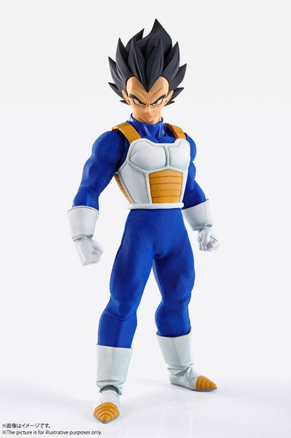 Vegeta Imagination Works Bandai Tamashii Nations