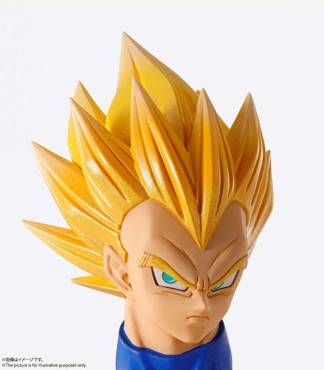 Vegeta Imagination Works Bandai Tamashii Nations