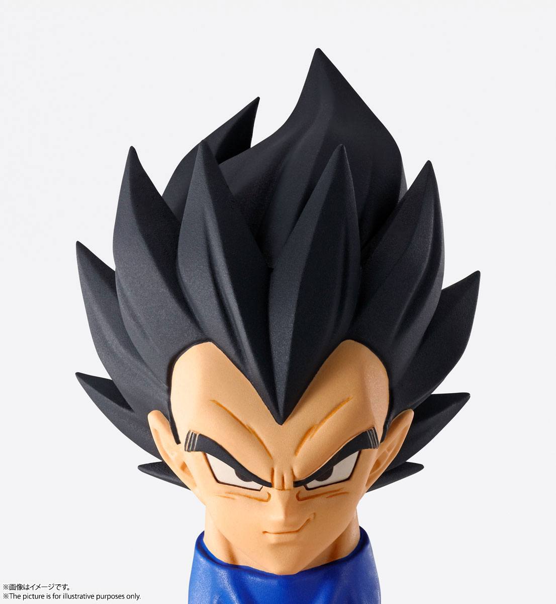 Vegeta Imagination Works Bandai Tamashii Nations