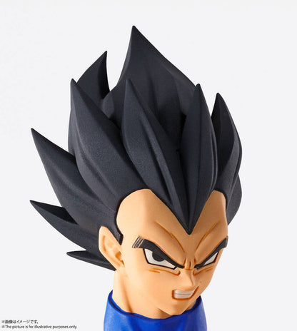 Vegeta Imagination Works Bandai Tamashii Nations