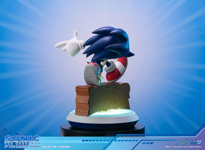Sonic the Hedgehog - Collector's Edition - First 4 Figures