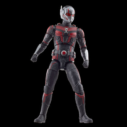 Scott Lang - Ant-Man and the Wasp: Quantumania - Hasbro