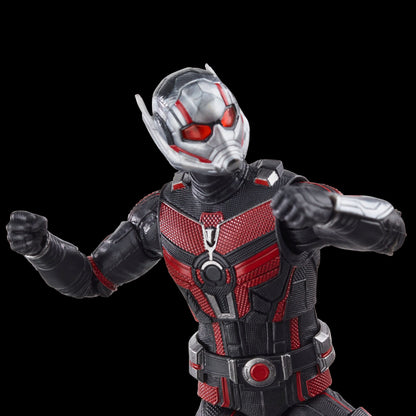 Scott Lang - Ant-Man and the Wasp: Quantumania - Hasbro