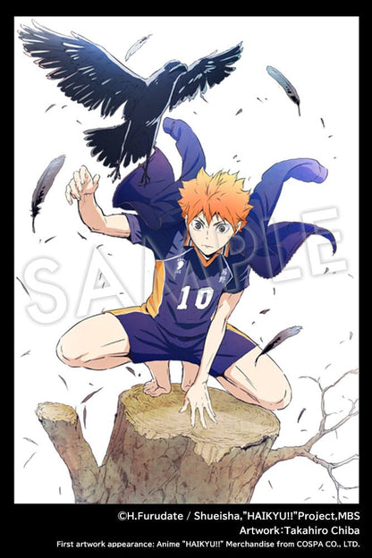 Shoyo Hinata ARTFX J Kotobukiya - Anime Figuren günstig kaufen