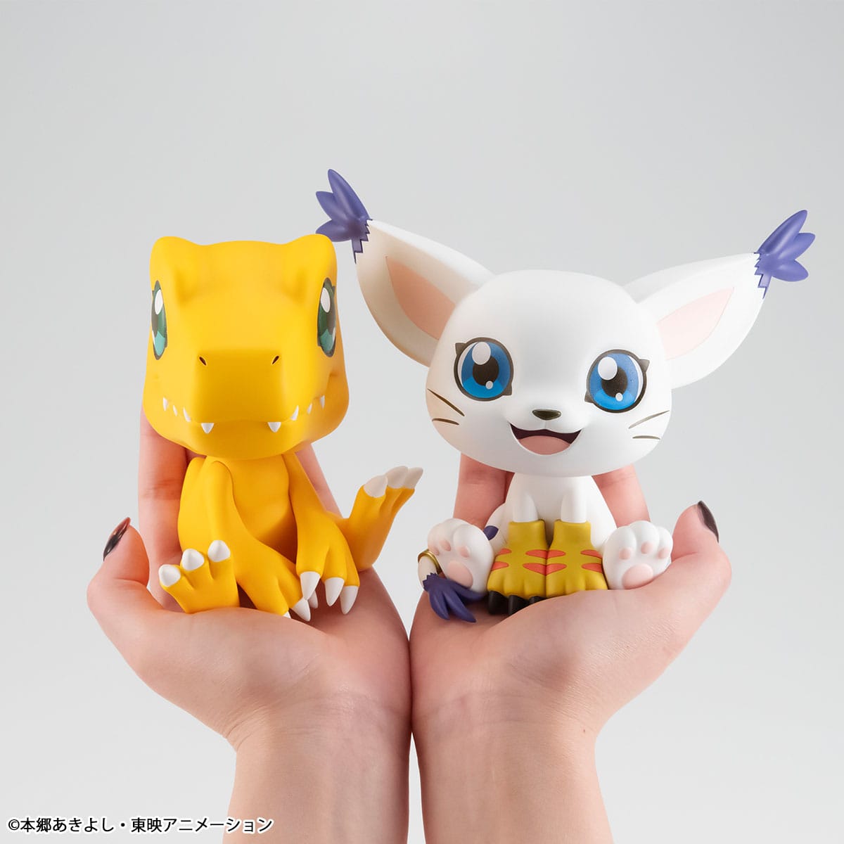 Tailmon Look Up MegaHouse