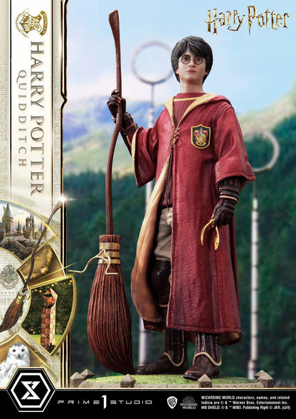 Harry Potter Quidditch Edition