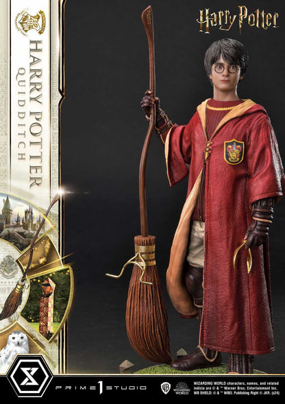 Harry Potter Quidditch Edition