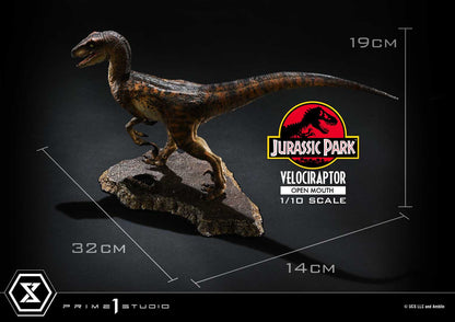 Velociraptor Open Mouth Prime 1 Studios