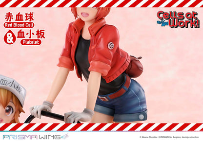 Red Blood Cell & Platelet Prisma Wing Prime 1 Studio