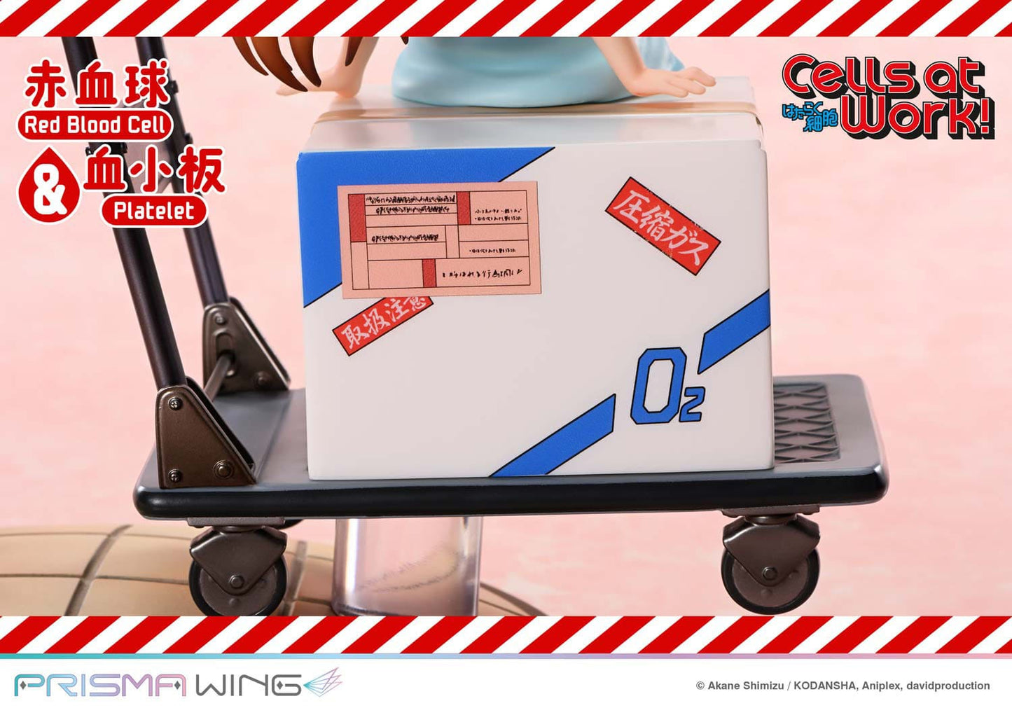 Red Blood Cell & Platelet Prisma Wing Prime 1 Studio