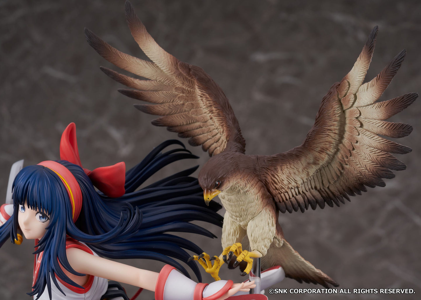 Nakoruru Samurai Spirits Proof