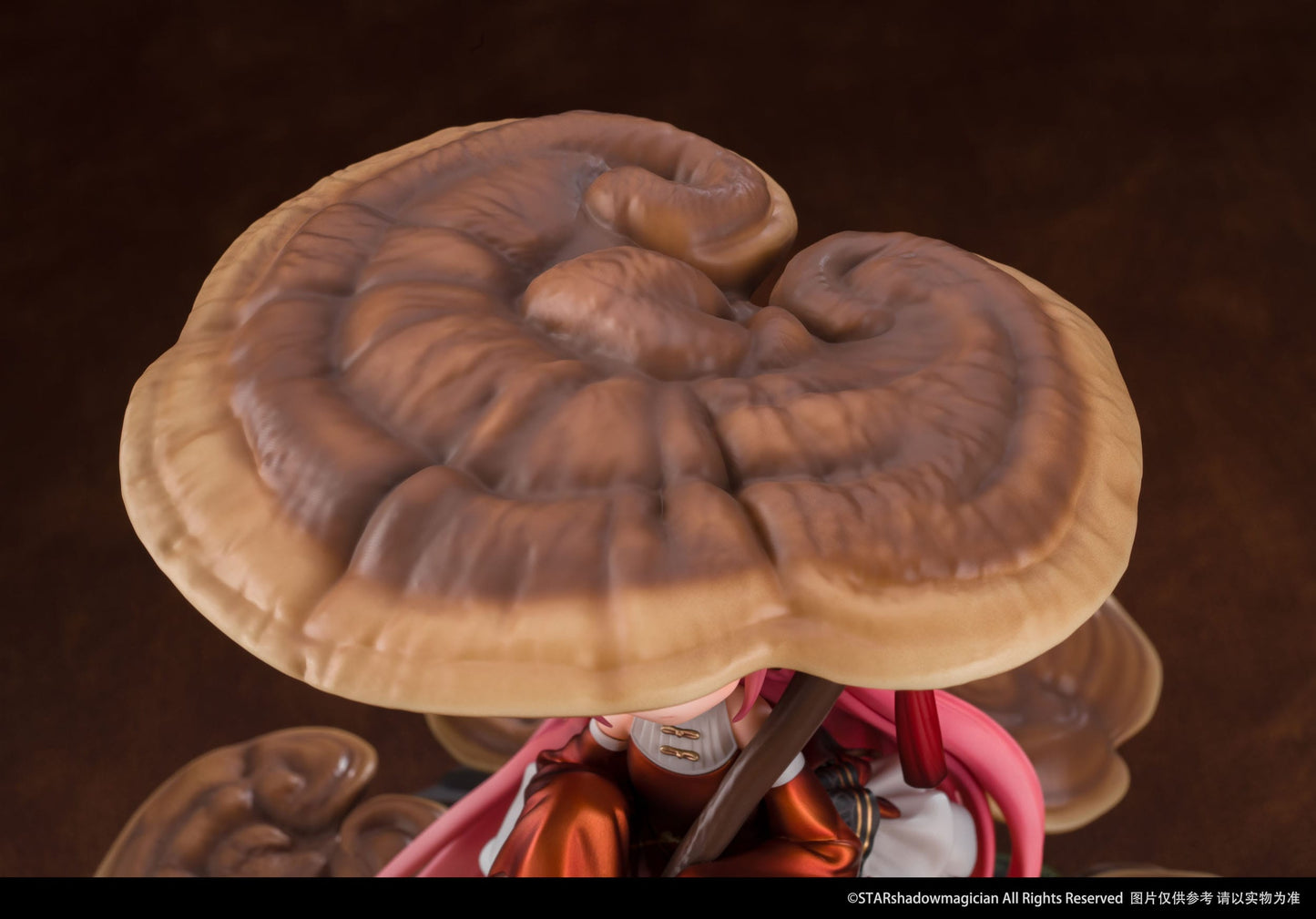 Mannentake - The Mushroom Girls - Reverse Studio