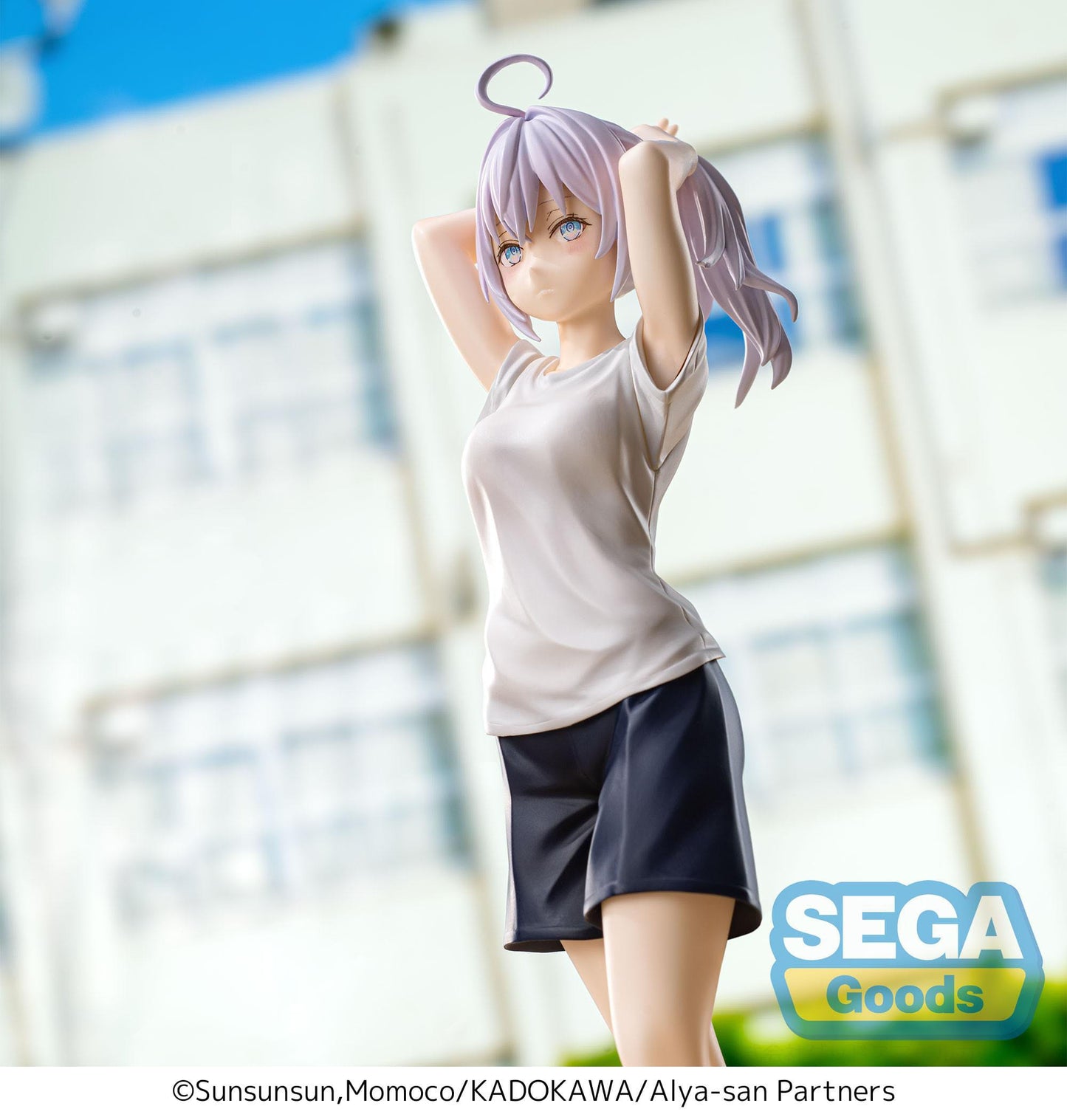 Alya Gym Clothes Luminasta Sega