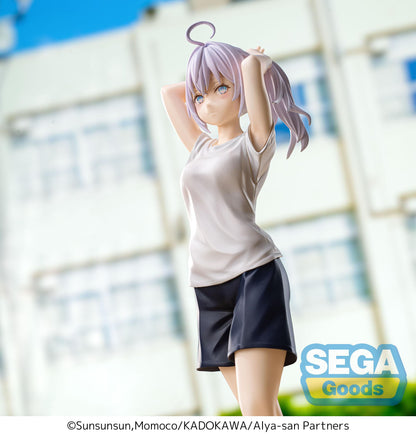 Alya Gym Clothes Luminasta Sega