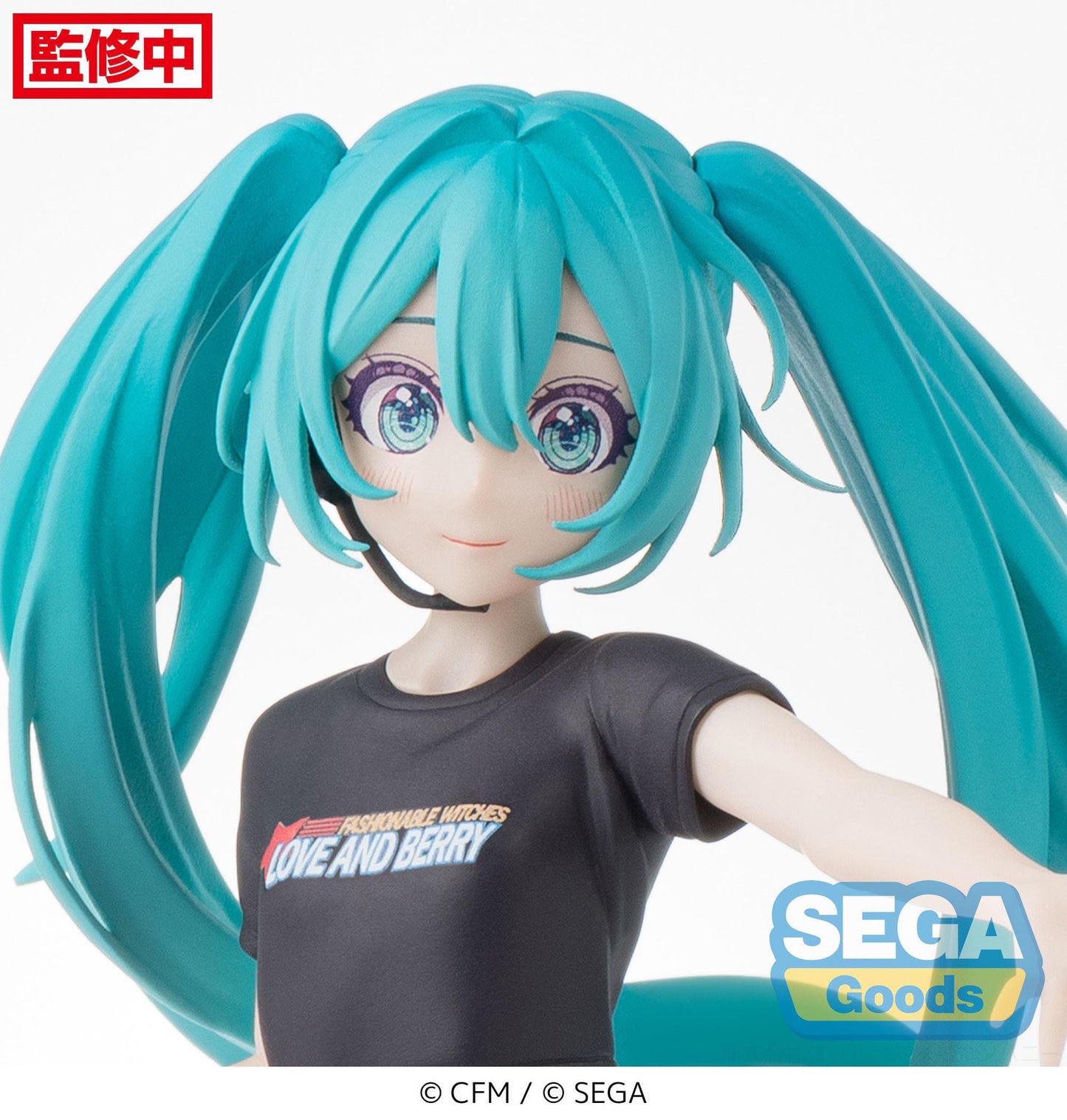 Hatsune Miku Berry Costume Ver. Sega