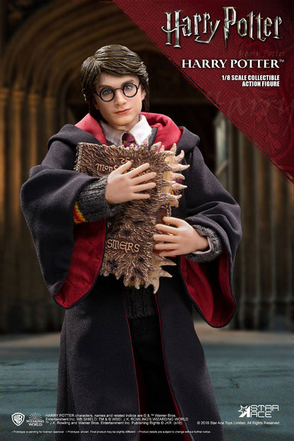 Harry Potter 2.0 Uniform Ver. Real Master Series Star Ace Toys