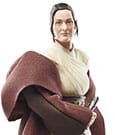 Star Wars: The Acolyte Black Series Actionfigur Jedi Master Indara - Anime Figuren günstig kaufen