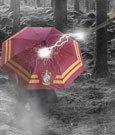 Harry Potter Regenschirm Gryffindor - Anime Figuren günstig kaufen