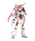 Frame Arms Girl Plastic Model Kit Grand Scale Magatsuki Kikka - Anime Figuren günstig kaufen