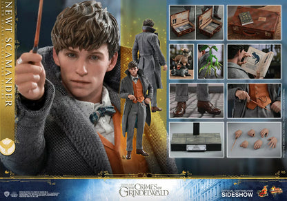 Newt Scamander 1/6 Scale Collectible Figure – Hot Toys (Fantastic Beasts: The Crimes of Grindelwald)