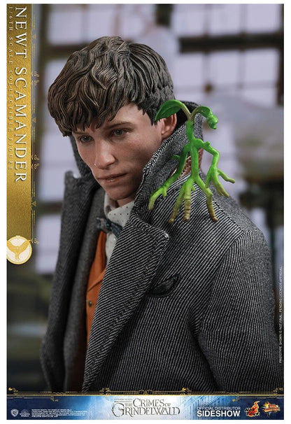 Newt Scamander 1/6 Scale Collectible Figure – Hot Toys (Fantastic Beasts: The Crimes of Grindelwald)