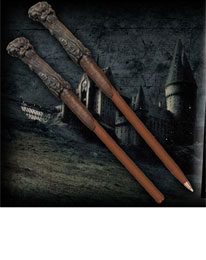 Harry Potter Glasposter Harry & Voldemort 30 x - Anime Figuren günstig kaufen